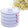 070 Plastic 4 Compartment Sprout Maker, White AAR HYPERMART PVT LTD