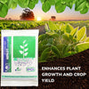 1284 Organic Bio Fungicide for Seeds and Young Plants (1 Kg) DeoDap