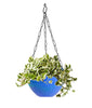 3851 Flower Pot Plant with Hanging Chain for Houseplants Garden Balcony Decoration DeoDap